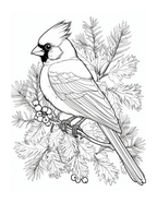 Black and white illustration of a cardinal bird on a branch with berries