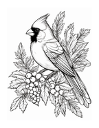 Black and white illustration of a cardinal bird on a branch with berries and leaves.