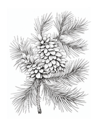 Black and white illustration of pine cones and branches on a white background
