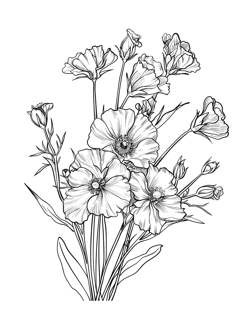 Sun-Kissed Flowers: A Journey into the Heart of Summer