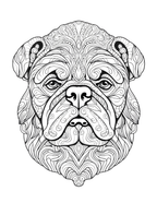 Coloring book page with a detailed black and white illustration of a bulldog's face.