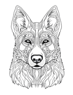 Detailed line drawing of a wolf's face on a white background