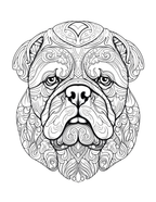 Decorative bulldog head design with intricate patterns on a white background