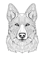Detailed line drawing of a wolf's head on a white background
