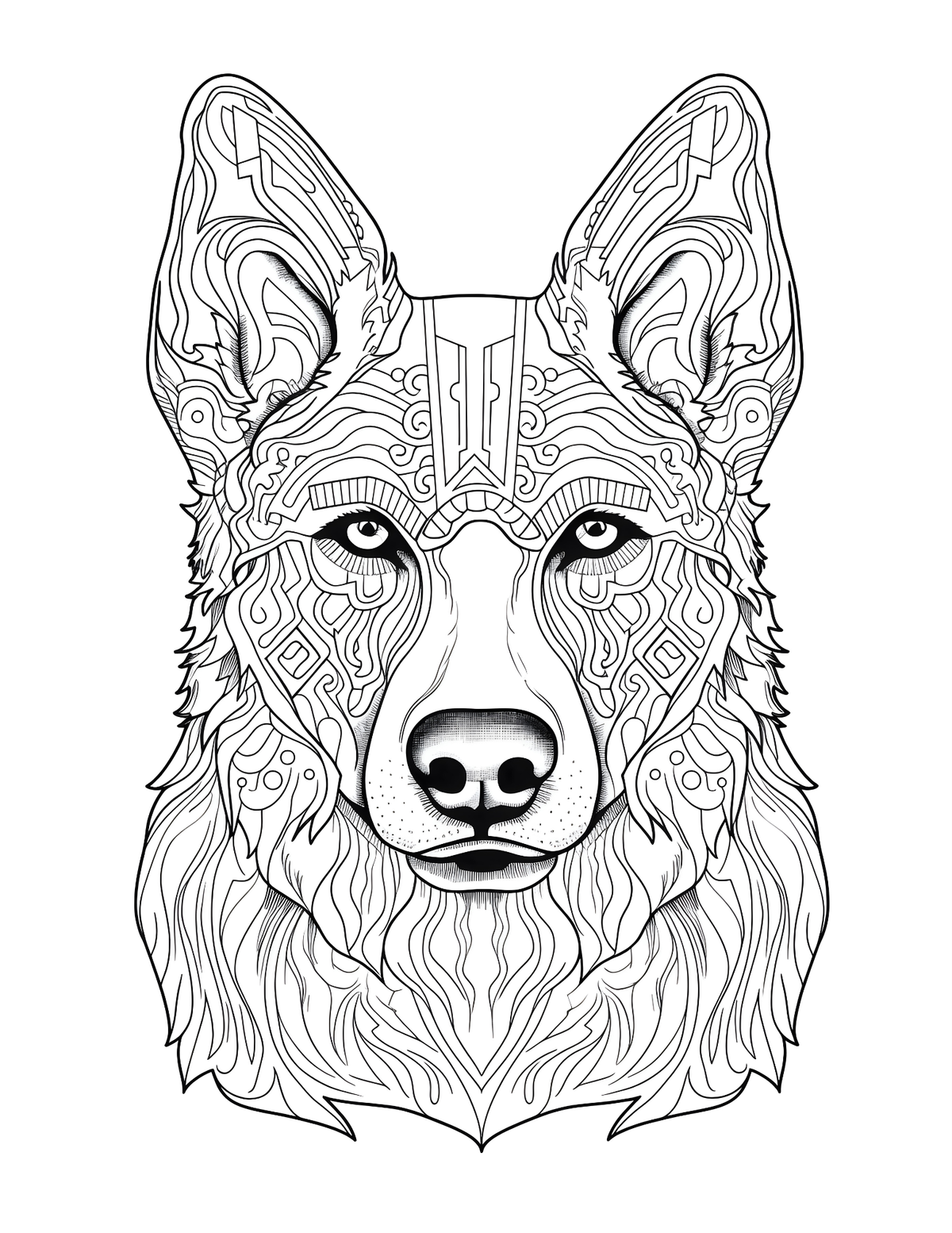 Detailed line drawing of a wolf's head on a white background